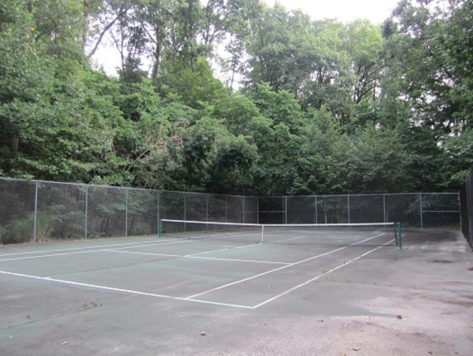 Tennis & Basketball Courts