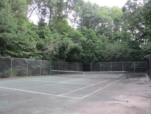 Tennis & Basketball Courts Tennis & Basketball Courts