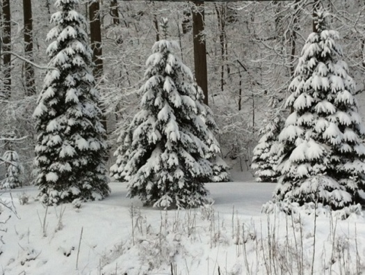 Surroundings Surroundings