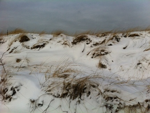 Surroundings Surroundings